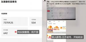 游戏加速器项目4.0_最新打法思路(爱玩游戏也能边玩边被动收益)-如意资源库