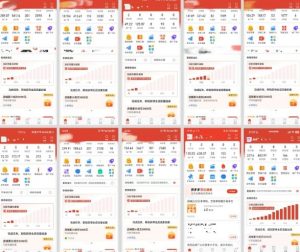 拼多多虚拟电商,门槛低,搬运上架,操作起来简单粗暴,单人单店三位数,可矩阵-如意资源库