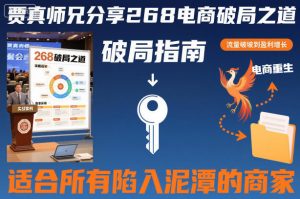 贾真师兄分享268电商破局之道-适合所有陷入泥潭的商家-如意资源库