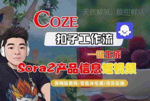 Coze扣子智能体工作流一键生成“SORA2产品信息“短视频,全流程保姆级教学-如意资源库