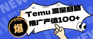专注于Temu商家提供精准曝光浏览量，助力店铺排名提升和转化，单机日收入80-130【揭秘】-如意资源库