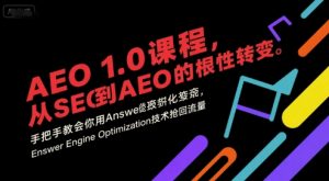 AEO 1.0 课程,从SEO到AE0的基命性转变,手把手教会你用AnswerEngineOptimization技术抢回流量(更新)-如意资源库