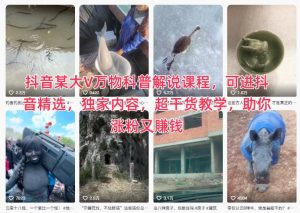 抖音某大V万物科普解说课程，可进抖音精选，独家内容，超干货教学，助你涨粉又賺钱-如意资源库