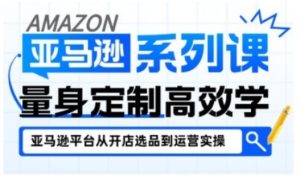 亚马逊新手开店从入门到精通，全面覆盖亚马逊开店各阶段要点，助新手从入门到精通-如意资源库