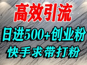 怎么打创业粉？快手求带视角精准引流创业粉，宝妈、学生群体日进500+精准流量-如意资源库