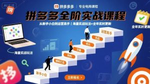 拼多多全阶实战课程,从新手小白到运营高手,海量实战玩法+全年实时更新【2025年10月更新】-如意资源库