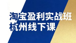 淘宝盈利实战班杭州线下课12月26-28日（音频+字幕），帮你掌握SOP流程+12门核心技术-如意资源库