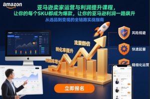 亚马逊卖家运营与利润提升课程,让你的每个SKU都成为爆款,让你的亚马逊利润一路飙升(更新12月)-如意资源库