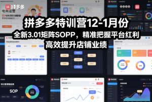 拼多多特训营12-1月份,全新3.01矩阵Sop,精准把握平台红利,高效提升店铺业绩-如意资源库