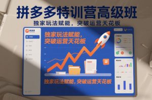拼多多特训营高阶班，独家玩法赋能，突破运营天花板（更新26年1月）-如意资源库