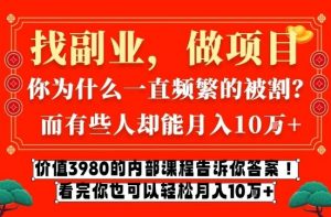 价值3980的网创内部课程，告诉你互联网创业月入10个W的秘密【揭秘】-如意资源库