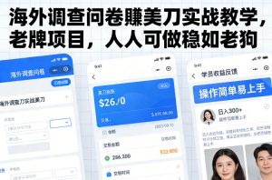 海外调查问卷賺美刀实战教学,老牌项目,人人可做稳如老狗-如意资源库