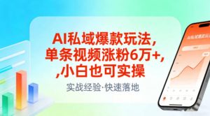 AI私域爆款玩法,单条视频涨粉6W+,小白也可实操-如意资源库