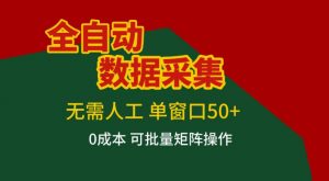 全自动数据采集，无需人工，单窗口50+，0成本可批量矩阵操作【揭秘】-如意资源库