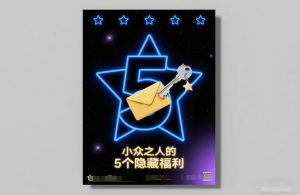 付费文章:小众之人的5个隐藏福利-如意资源库