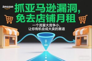 抓亚马逊漏洞，免去店铺月租，一个流量大竞争小，让你有机会成大卖的赛道-如意资源库