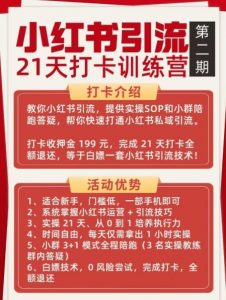 小红书引流21天打卡训练营第二期,助你快速打通小红书私域引流打粉-如意资源库