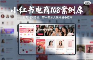 小红书电商108案例库，百W利润分析，带一部分人先冲进小红书【文档】-如意资源库