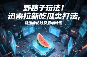 野路子玩法！迅雷拉新吃瓜类打法，截流自热以及后端处理-如意资源库