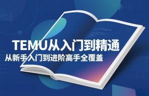 TEMU从入门到精通,从新手入门到进阶高手全覆盖-如意资源库