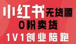 小红书无货源0粉电商课,开店准备、选品策略、笔记撰写、视频剪辑、数据分析、账号打造、资料文档(更新26年2月)-如意资源库