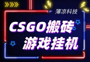 CSGO游戏挂G游戏搬砖最新升级，普通小白一部手机可日入3张+当天见结果，支持验证【揭秘】-如意资源库