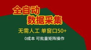 全自动数据采集项目，无需人工，单窗口可达50+收益，操作简单无难度，一个人也能轻松实现矩阵【揭秘】-如意资源库