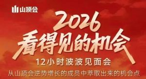2026看得见的机会，剖析十几个实战案例，可直接抄作业，再优化迭代，内容超全，干货满满-如意资源库