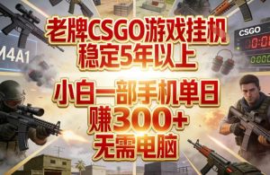 老牌CSGO游戏挂G，稳定5年以上，小白一部手机单日賺3张+，无需电脑【揭秘】-如意资源库
