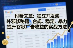 付费文章：独立开发海外邪修秘籍，合规、稳定、暴力提升谷歌广告收益的实战方法-如意资源库