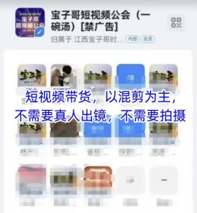 宝子哥头部团队短视频带货，以混剪为主，不需要真人出镜，不需要拍摄【更新26年3月】-如意资源库