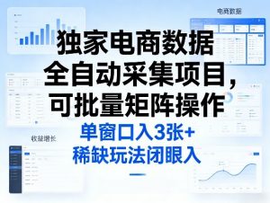 独家电商数据全自动采集项目，可批量矩阵操作，单窗口日入3张+，稀缺玩法闭眼入【揭秘】-如意资源库