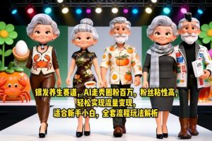 银发养生赛道，AI走秀圈粉百万，粉丝粘性高，轻松实现流量变现，适合新手小白，全套流程玩法解析-如意资源库