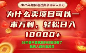 一单净利润1K+,26年想年入100个W,死磕卖项目就够了【揭秘】-如意资源库