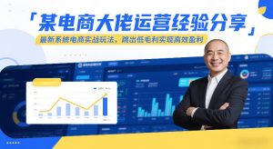 某电商大佬运营经验分享，最新系统电商实战玩法，跳出低毛利实现高效盈利（更新）-如意资源库