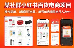 某社群小红书百货电商项目，操作简单，0粉即可出单，单号单店铺稳定月入2w+-如意资源库