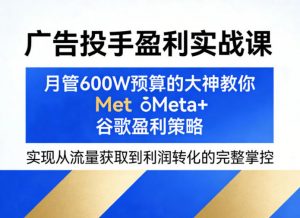 广告投手盈利实战课，月管600W预算的大神教你Meta+谷歌盈利策略，实现从流量获取到利润转化的完整掌控-如意资源库