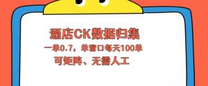 上班也能玩的酒店CK数据归集，一单0.7单窗口每天可做100单，一个人就能矩阵操作【揭秘】-如意资源库