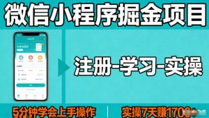 微信小程序掘金项目，项目很简单，5分钟就能学会上手操作，实操7天賺了1700+【揭秘】-如意资源库