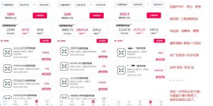 迅雷浏览器项目2.0_拆个大佬周1W的打法-如意资源库