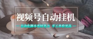 视频号自动挂G项目,自动化脚本省时省力,手工单价更高,日入300+全网最稳【揭秘】-如意资源库