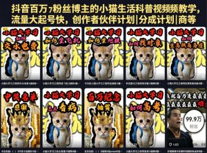 抖音百万粉丝博主的小猫生活科普视频教学，流量大起号快，创作者伙伴计划|分成计划|商单|收徒等-如意资源库