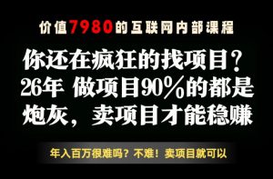 26年请不要疯狂的找项目了，卖项目远比你想象的暴利，你也可以月入10W+【揭秘】-如意资源库