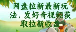 网盘拉新最新玩法,发好奇视频获取拉新收益,抖音收藏家玩法-如意资源库