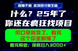 26年,请不要疯狂的找项目做了!卖项目才是真的稳賺不赔,看完照做,保底日入1k+【揭秘】-如意资源库
