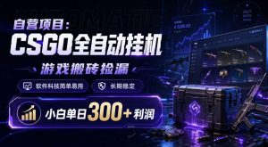 自营项目：CSGO全自动挂G，游戏搬砖捡漏，软件科技简单易用，长期稳定，小白单日300+利润【揭秘】-如意资源库