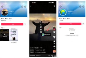 最强抖音引流-隐藏式暂停跳钩子，效果自测-如意资源库