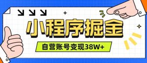 微信小程序掘金,团队自营小程序累计变现38W+,稳定运营三年,一部手机即可操作【揭秘】-如意资源库