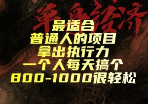 最适合普通人的项目,拿出执行力一个人每天搞个800-1k很轻松【揭秘】-如意资源库