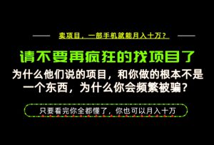 为什么做项目的人大多都是炮灰?为什么只有卖项目才能稳?看完你也可以月入10W+【揭秘】-如意资源库